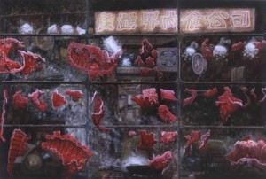 Pinta - Oscar Oiwa - Beautiful World Meat Market (3)