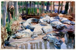 AWC IMAGE 21 edit Sargent - Muddy Alligators